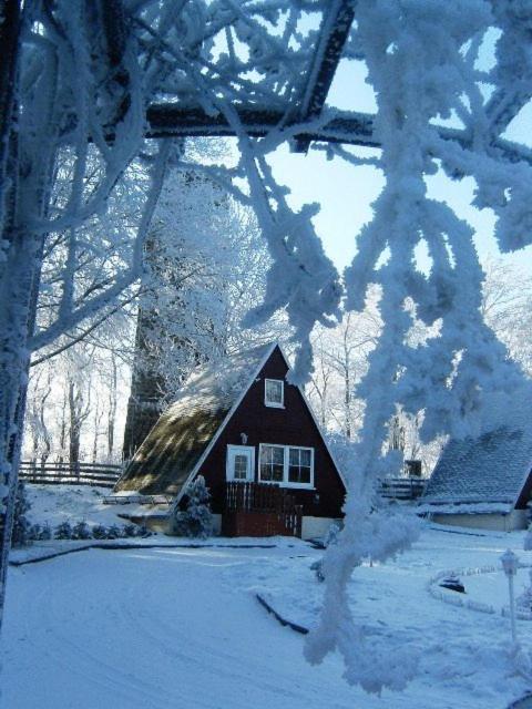 Bungalow